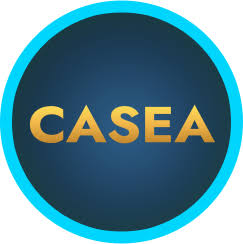 Ohledně herní společnosti Casea